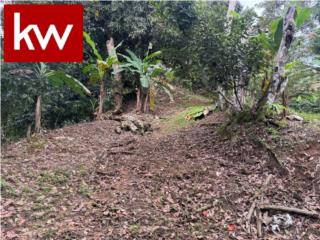 BO. MONTES LLANOS, TERRENO EN PONCE