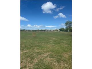 Oportunidad de inversi�n en Cabo Rojo