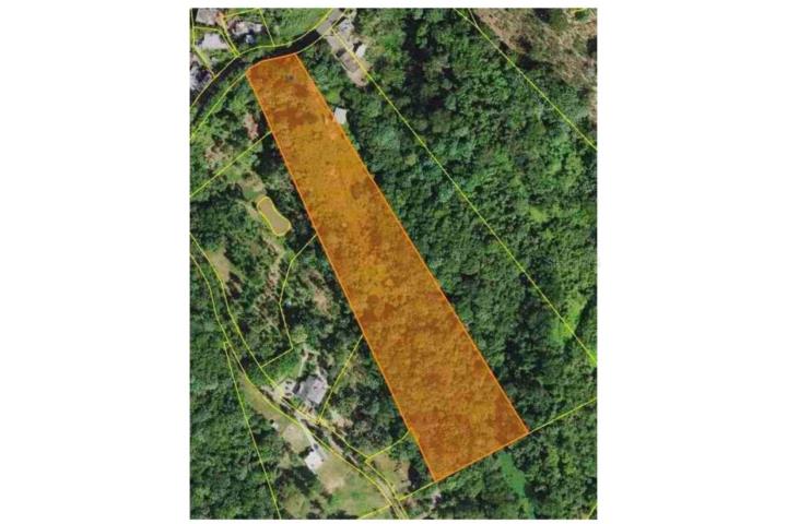 A rare opportunity to create a secluded oasis surrounded by nature.