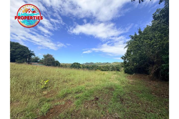 Se vende solar de 3 cuerdas PR 447 KM.