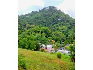 �Tu oasis privado en San Juan listo para cons