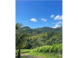 Finca 9 Cdas Privada San Juan! Cerca Montehie