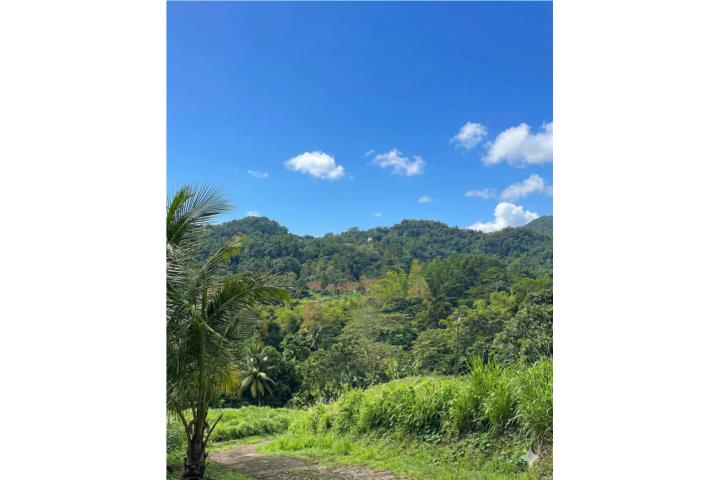 ¡Atención inversionistas y compradores exigentes! Oportunidad única en el área metropolitana: finca