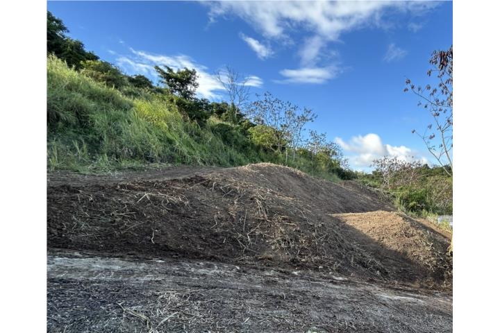 Praderas De La Cayey