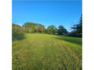 Venta Terreno 3,417 metros Bo Piedras Blancas   
