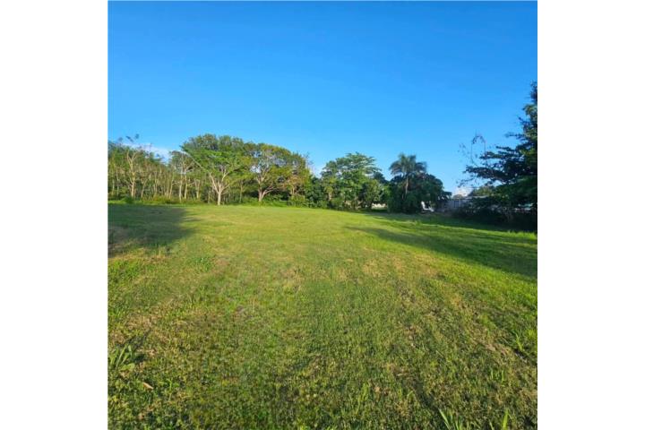 Venta Terreno 3,417 metros Bo Piedras Blancas