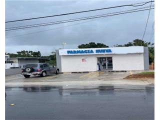 FARMACIA EN AGUAS BUENAS