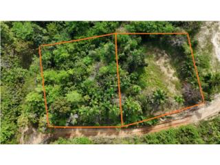Desirable Land in Puntas Rincon