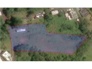 SE VENDE TERRENO 1.268 CUERDAS- AGUAS BUENAS