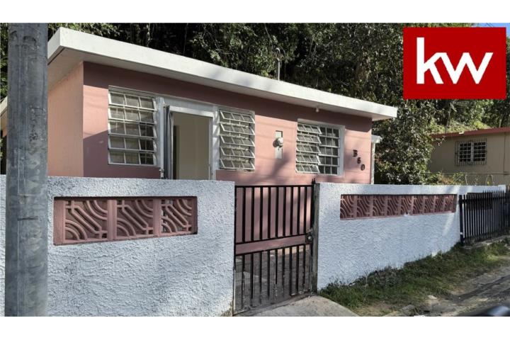 BO. CANDELARIA ARENAS, CASA EN TOA BAJA
