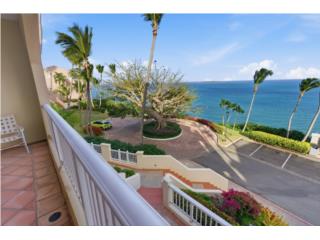 Turnkey Ocean View Lockout Las Casitas I