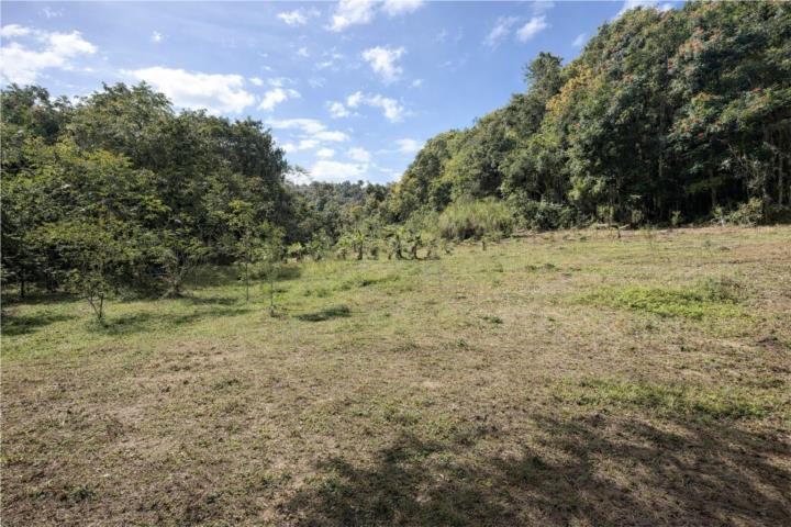 Montebello, Manatí Finca en venta $115,000