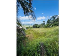 Terreno Orocovis Bo Sabana