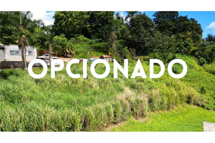 VAS A VENDER EN BARRANQUITAS, LLAMAME