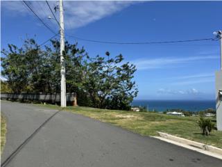 El Cocal Beach & Country Club 1,006m2 $200k