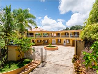 Propiedad de Uso Mixto en Florida