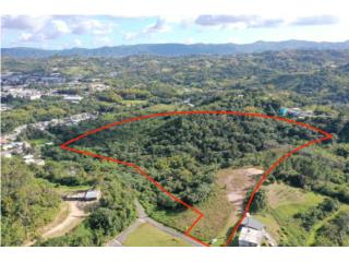 Finca en Venta � 12.91 cuerda Bo. Ceiba Cidra
