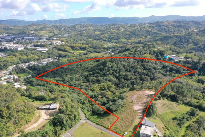 Finca en Venta – 13.77 cuerda Bo. Ceiba Cidra