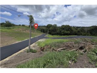 Carr. 103, Km. 10.9 Bo. Boquer�n, Los Fagundo