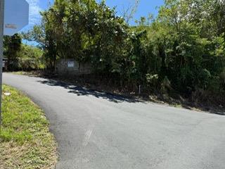 FINCA EN YABUCOA CON DOS ESTRUCTURAS-VISTA