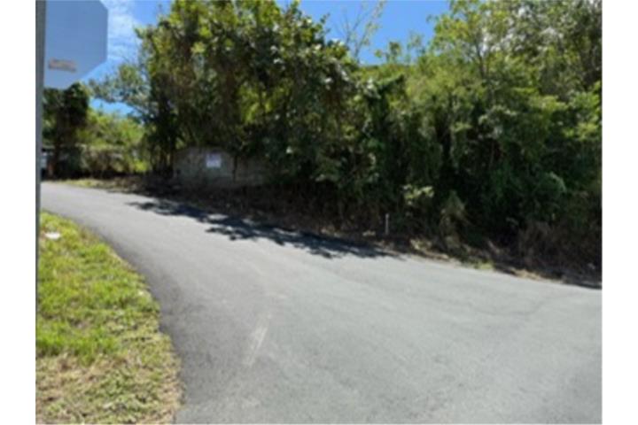 FINCA EN YABUCOA CON DOS ESTRUCTURAS-VISTA