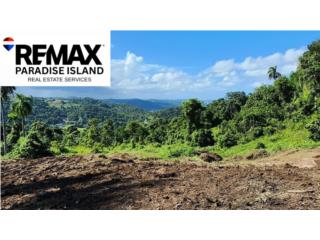 Cienaga Alta Rio Grande PR