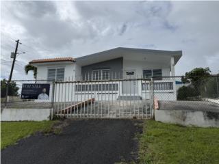 Palmarito $158K