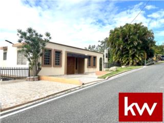 BO. AGUAS BLANCAS, CASA EN YAUCO
