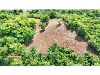 Bo. Capaez, Sector Las Piedras
