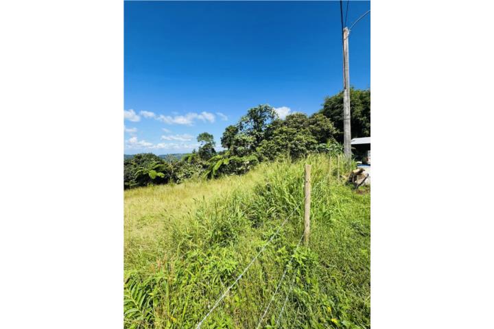 Terreno Orocovis