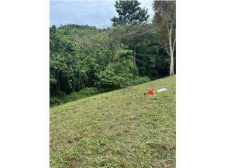 Bo. Santa Olaya 1,954.72 mts Rios  $95K