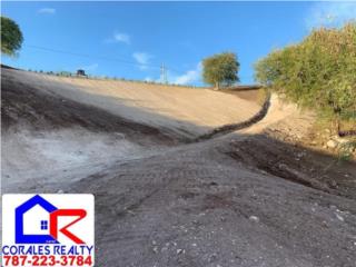 Villas de R�o Ca�as 