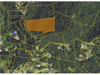 Terreno en Caguitas