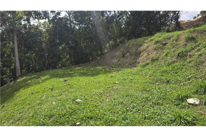 Hermoso solar de 1.7 cuerdas en Utuado