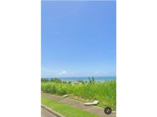 Urb. Jardines de Arecibo