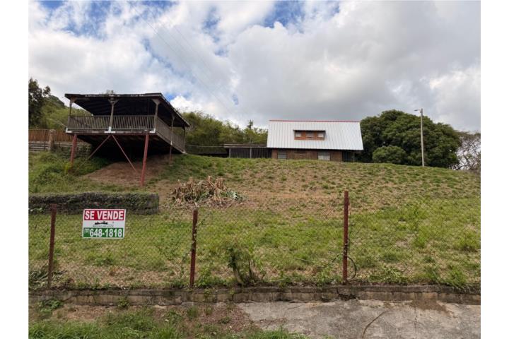 Finca Bo. Minillas San Germán