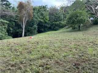 Santa Olaya R�o  1,954.72 mts  $95k