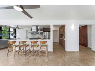 Cond. Condado Camelot--Remodeled--2 Parkings