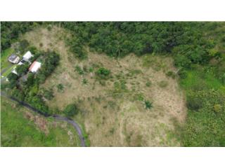 Finca 4.5 Cuerdas en Cidra: Mucho Potencial,