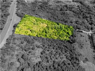 FINCA FRENTE A PR-100 4.44 CUERDAS-CABO ROJO