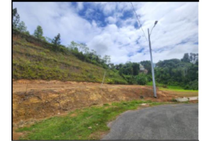 Urb.Colinas del Diamante, Maygüez PR