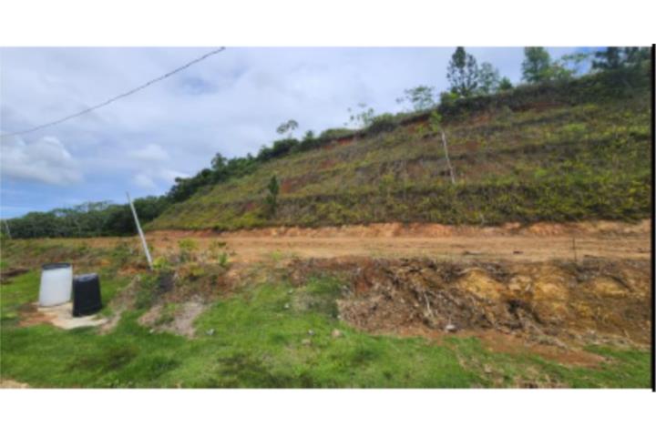 Urb.Colinas del Diamante, Maygüez PR