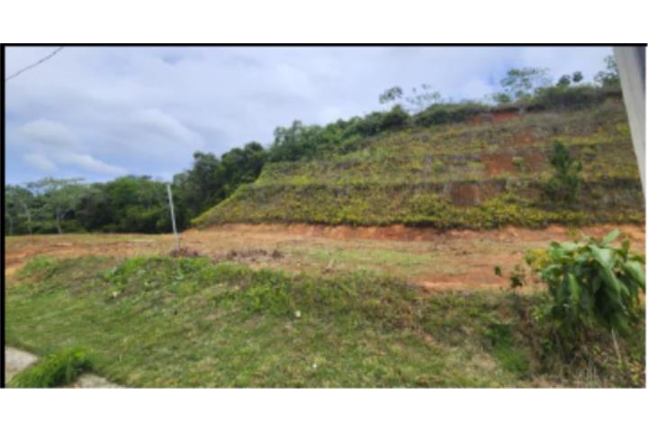 Urb.Colinas del Diamante, Maygüez PR