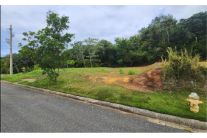 Urb.Colinas del Diamante, Maygüez PR