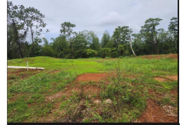 Urb.Colinas del Diamante, Maygüez PR