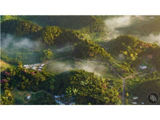 50-Acre Developable Land Offering � Arecibo