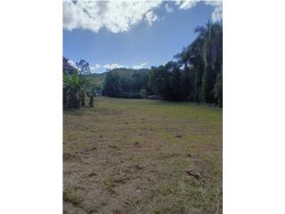 SOLAR BO. RINCON - GURABO 2140M2