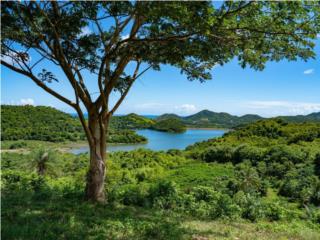 21 Acres Patillas PR Land for Sale!!