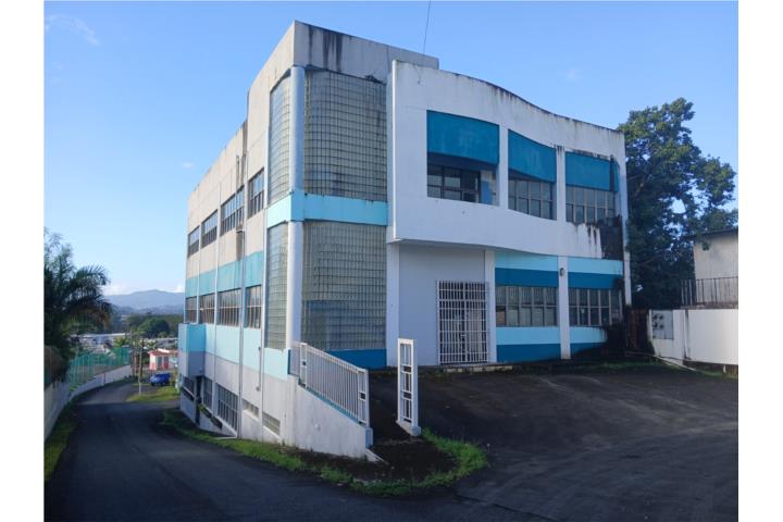 Commercial Building-10,000 SF, Great Location