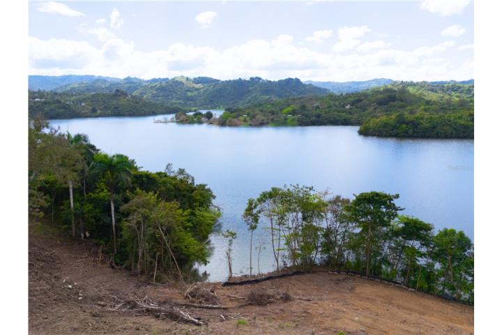 Ortiz Puerto Rico
